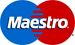 logo Maestro